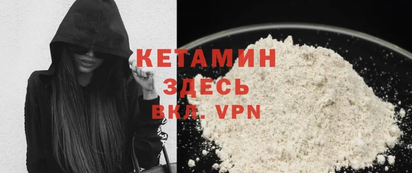 сатива Новокубанск