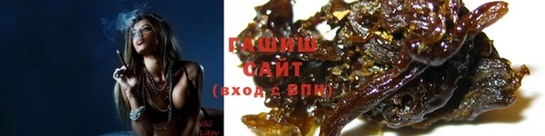 сатива Новокубанск