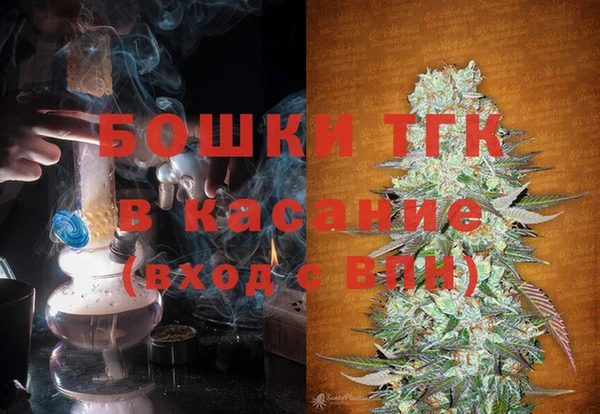 СК Новодвинск