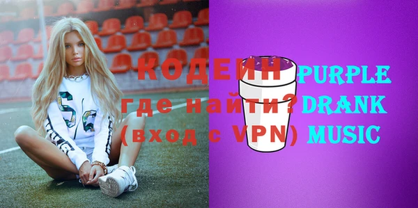 мет Няндома