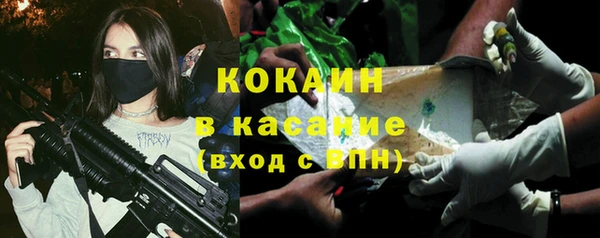 сатива Новокубанск